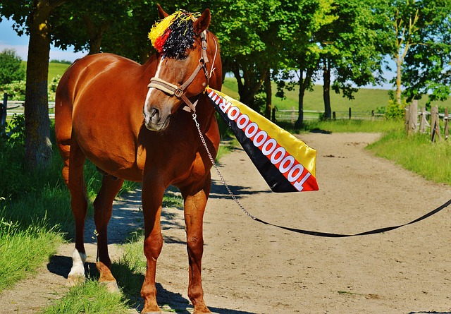 也象征着台 也象征着台