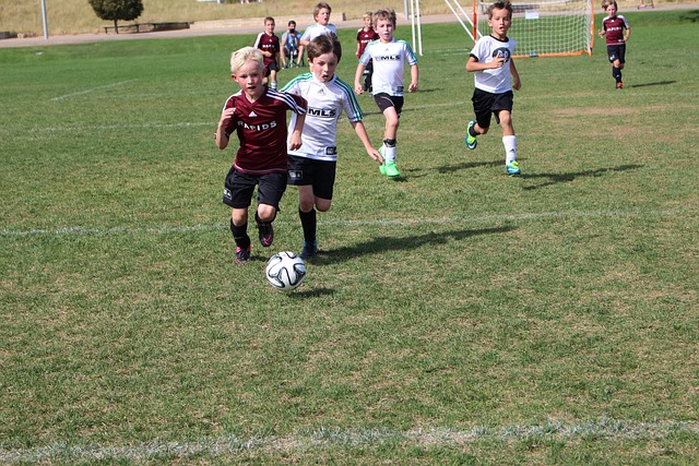 凭借这样一 凭借这样一